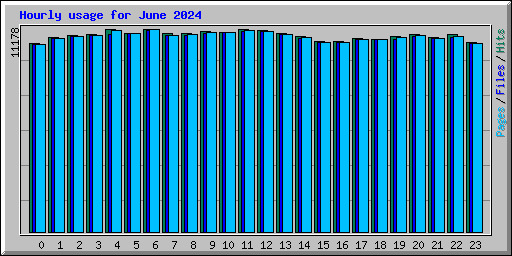 Hourly usage for June 2024