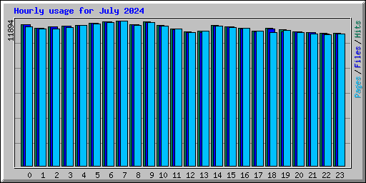 Hourly usage for July 2024